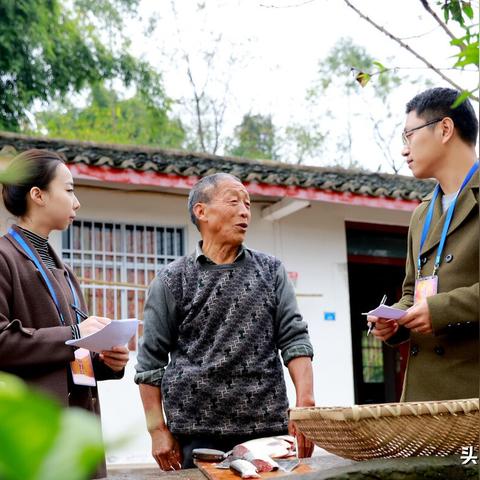 暴露:2025年全年免费资料大全,警惕虚假宣传手段,通俗剖析、解释与落实
